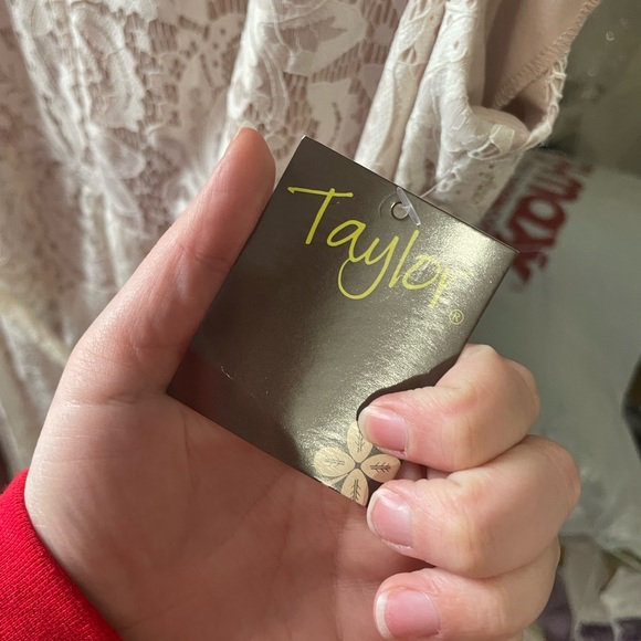 Ivory & Nude Lace High-Low Dress - Picture 5 of 7